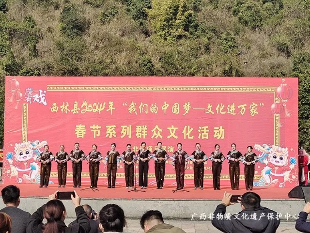 西林县非遗活动.png